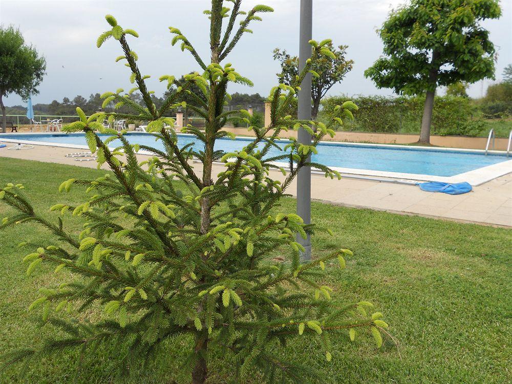 Vilafreser Hotel Sausa מראה חיצוני תמונה